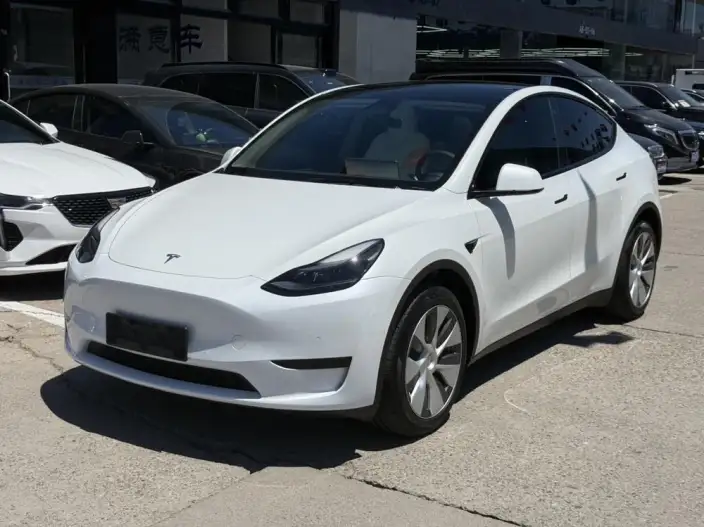 Model Y 2022 Model Facelift Rear-wheel drive version
