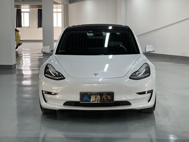 Model 3 import Модель 2019 года Long Battery Li f e Pro All-wheel drive version – фото 2