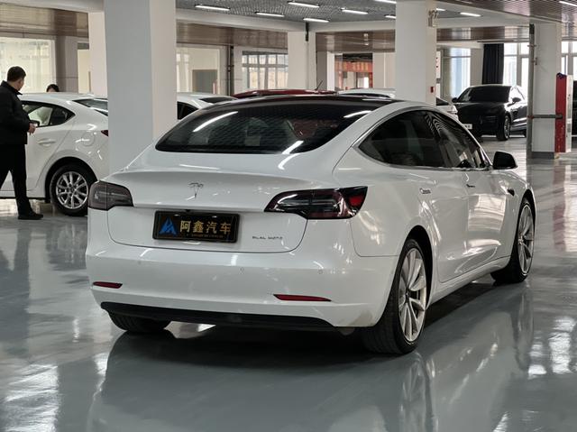 Model 3 import Модель 2019 года Long Battery Li f e Pro All-wheel drive version – фото 9