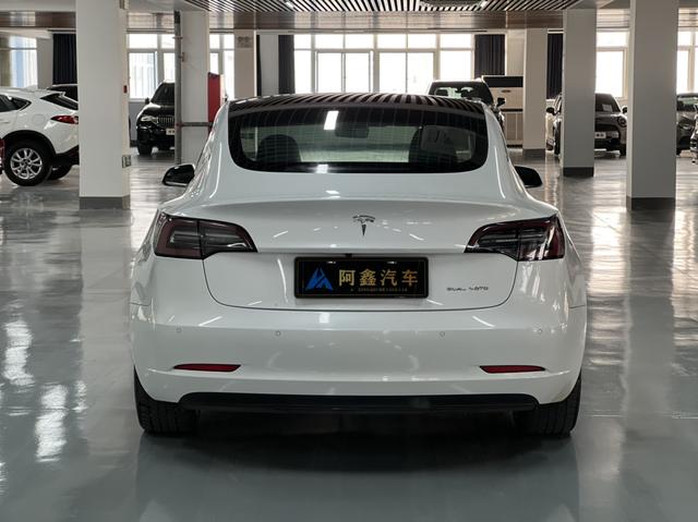 Model 3 import Модель 2019 года Long Battery Li f e Pro All-wheel drive version – фото 10