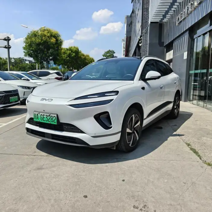 Sea Lion 06DM 2025 Model DM-i 205KM Pilot Plus Edition