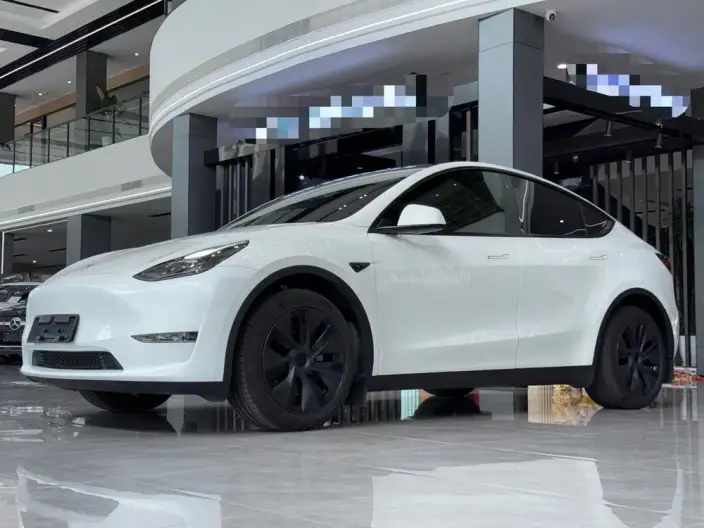 Model Y 2023 Model Long Battery Life Pro All-wheel drive version
