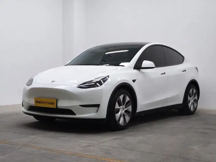 Model Y 2021 Model Standard Battery Life Rear-wheel drive version