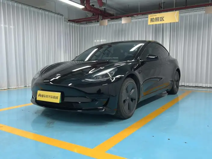 Model 3 2021 Model Standard Battery Life Rear Drive L Class Edition 3D6