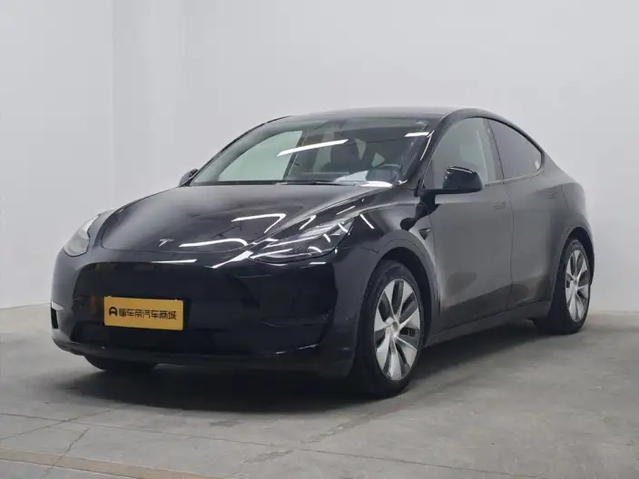 Model Y 2021 Model Standard Battery Life Rear-wheel drive version