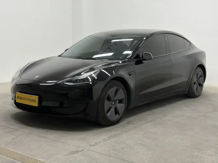 Model 3 2021 Model Standard Battery Life Rear Drive L Class Edition 3D6