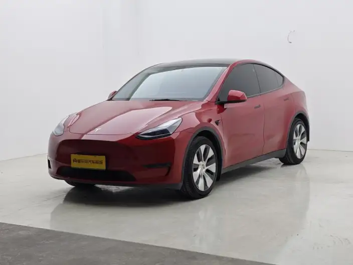 Model Y 2021 Model Standard Battery Life Rear-wheel drive version