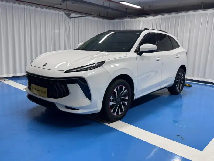 Fengxing T5 EVO 2021 Model 1.5TD DCT Diamond Edition