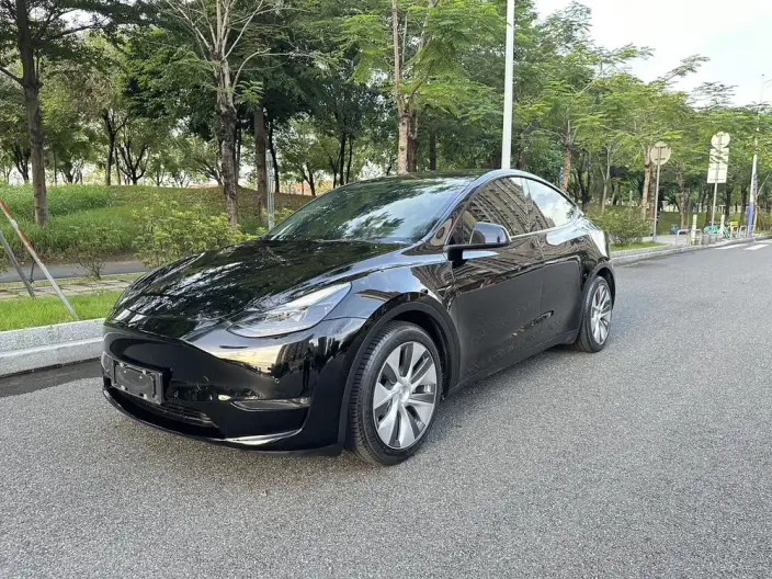 Model Y 2021 Model Standard Battery Life Rear-wheel drive version