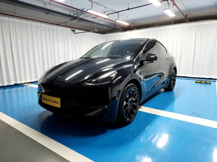 Model Y 2021 Model Standard Battery Life Rear-wheel drive version