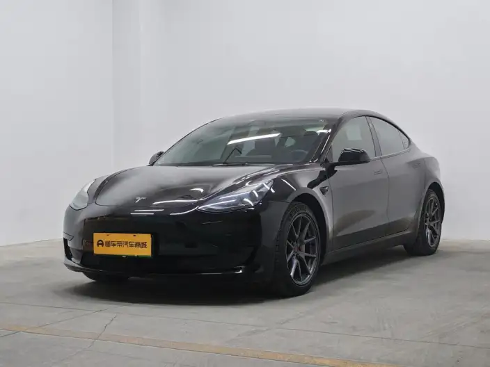 Model 3 2021 Model Standard Battery Life Rear Drive L Class Edition 3D6