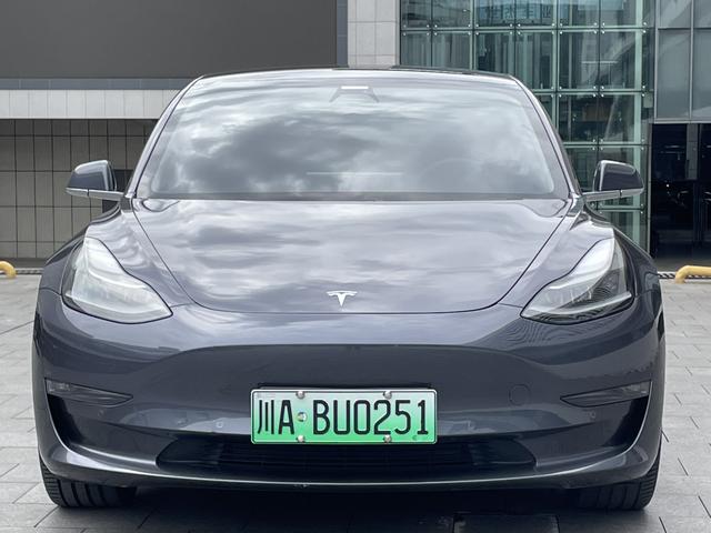 Tesla Model 3 2020 Long Range RWD – фото 2