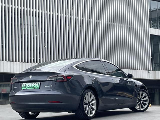 Tesla Model 3 2020 Long Range RWD – фото 5