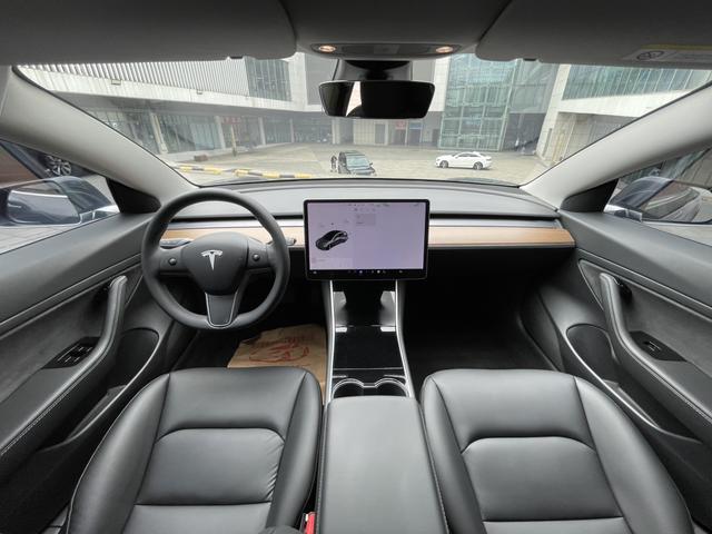 Tesla Model 3 2020 Long Range RWD – фото 7