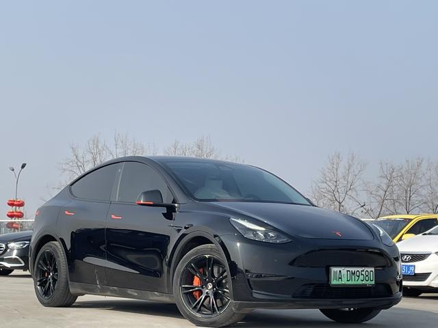 Tesla Model Y 2021 Standard Range RWD – фото 2