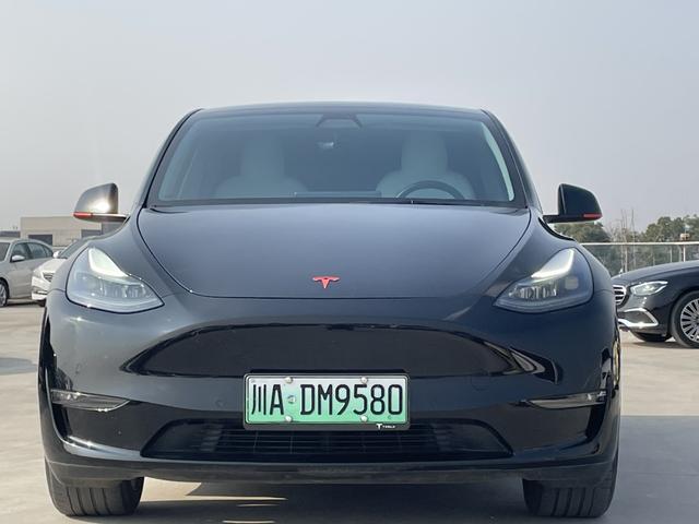Tesla Model Y 2021 Standard Range RWD – фото 3