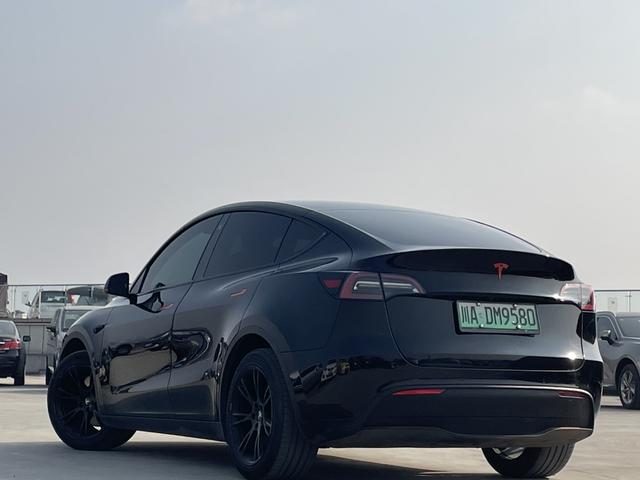Tesla Model Y 2021 Standard Range RWD – фото 4