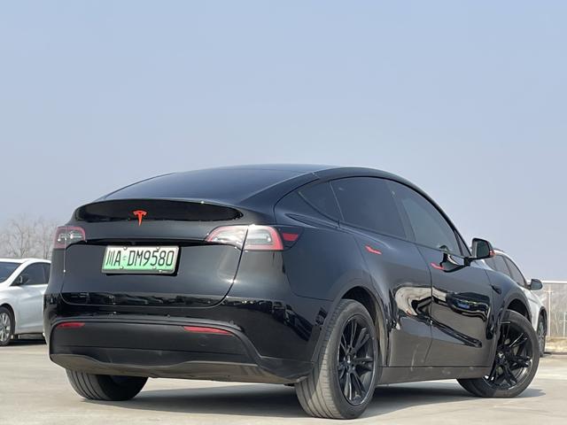 Tesla Model Y 2021 Standard Range RWD – фото 5