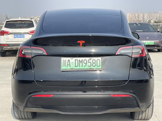 Tesla Model Y 2021 Standard Range RWD – фото 6