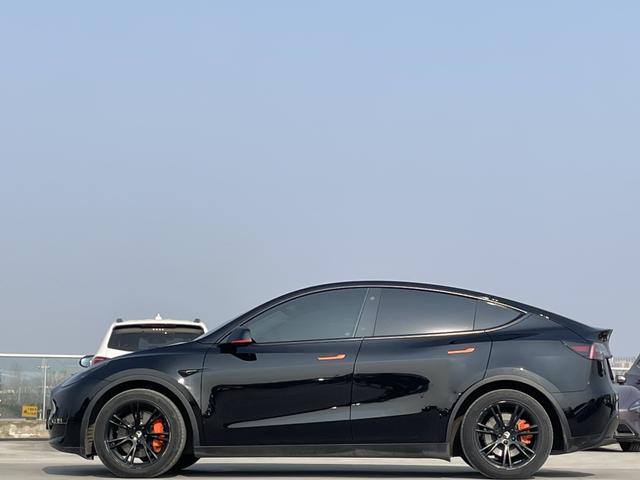 Tesla Model Y 2021 Standard Range RWD – фото 7