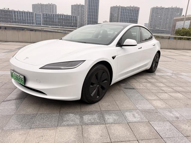 Model 3 2025 модификация комплектация Rear-wheel drive version – фото 1