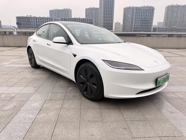 Model 3 2025 модификация комплектация Rear-wheel drive version – фото 2