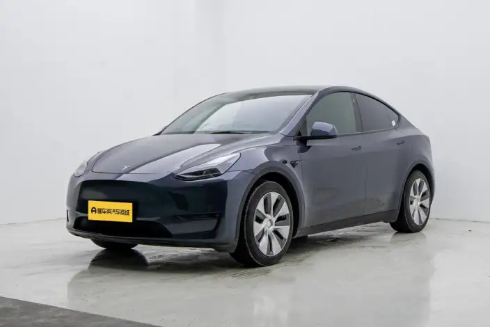 Model Y 2021 Model Standard Battery Life Rear-wheel drive version