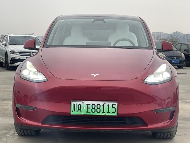 Model Y 2024 модификация Per f ormance High per f ormance All-wheel drive version – фото 2