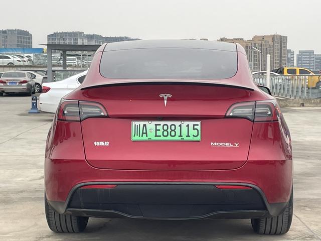 Model Y 2024 модификация Per f ormance High per f ormance All-wheel drive version – фото 5