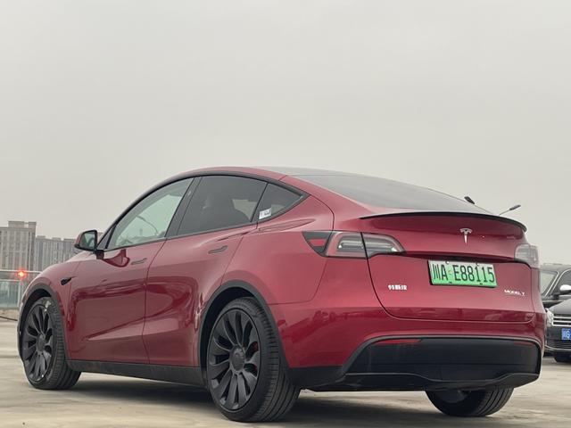 Model Y 2024 модификация Per f ormance High per f ormance All-wheel drive version – фото 6