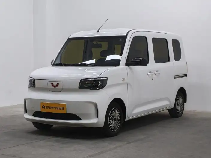 WULING Sunshine EV 2025 Model Standard Model