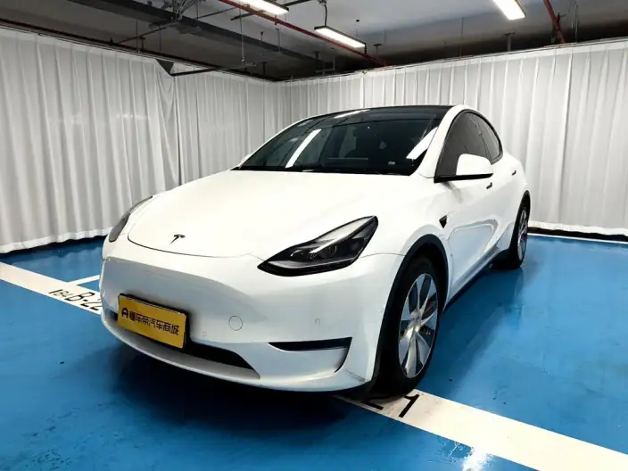 Model Y 2021 Model Standard Battery Life Rear-wheel drive version
