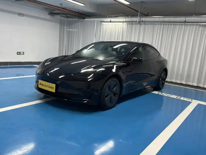 Model 3 2021 Model Standard Battery Life Rear Drive L Class Edition 3D6