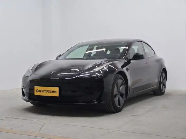Model 3 2021 Model Standard Battery Life Rear Drive L Class Edition