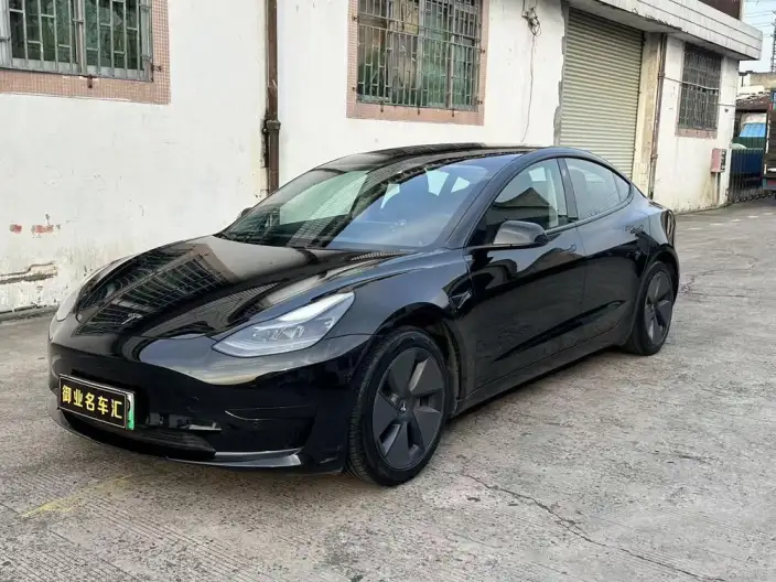 Model 3 2021 Model Standard Battery Life Rear Drive L Class Edition 3D1