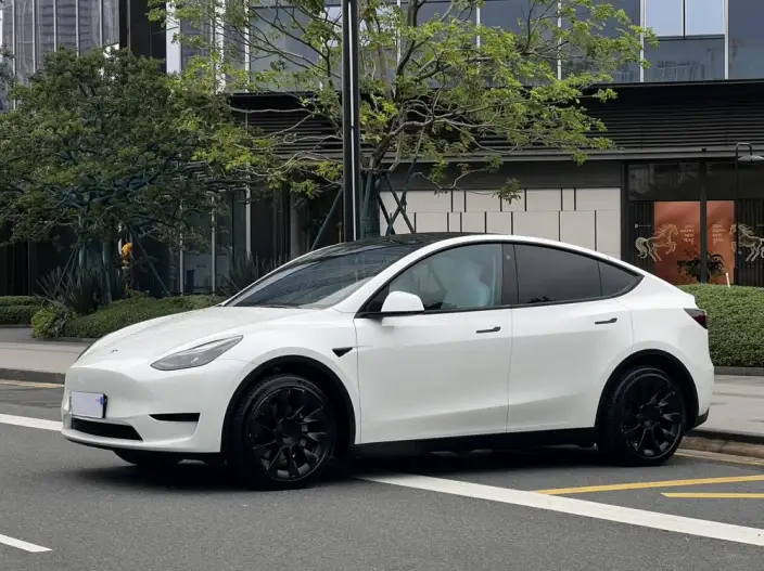 Model Y 2022 Model Rear-wheel drive version