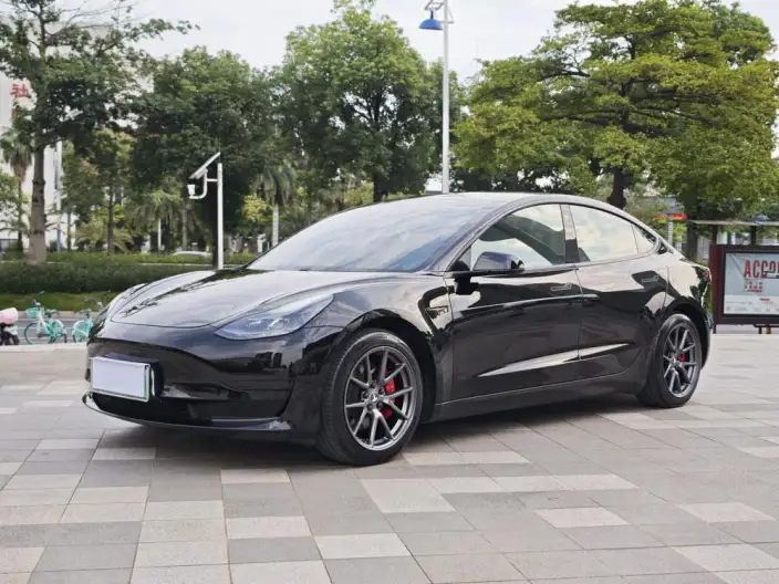 Model 3 2021 Model Standard Battery Life Rear Drive L Class Edition