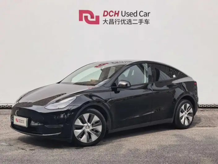 Model Y 2021 Model Standard Battery Life Rear-wheel drive version