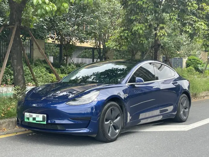 Model 3 2020 Model Facelift Standard Battery Life Rear Drive L Class Edition