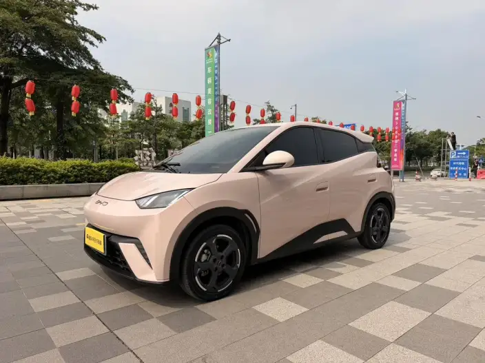 BYD Seagull 2023 Model Feixiang Edition