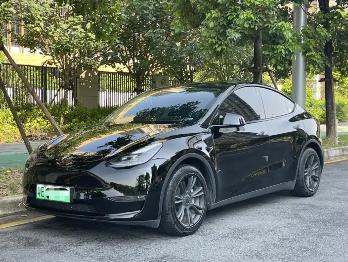 Model Y 2021 Model Standard Battery Life Rear-wheel drive version