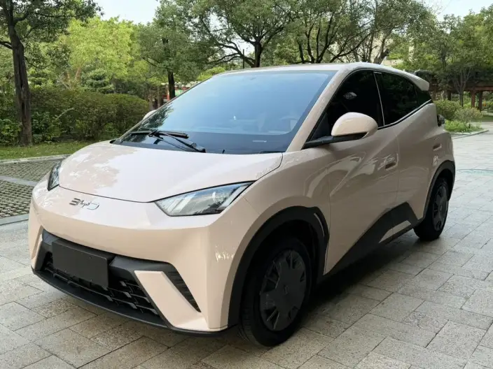 BYD Seagull 2025 Model Smart Driving Edition 305KM Vitality Edition