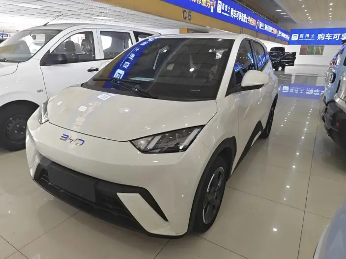 BYD Seagull 2023 Model Feixiang Edition