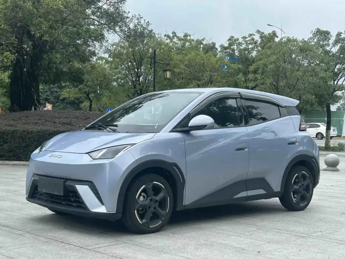 BYD Seagull 2024 Model Honor Edition 305KM Free Edition