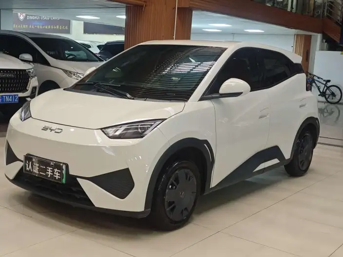 BYD Seagull 2025 Model Smart Driving Edition 305KM Vitality Edition