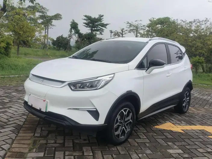 Yuan Pro 2023 Model 401KM Luxury Model