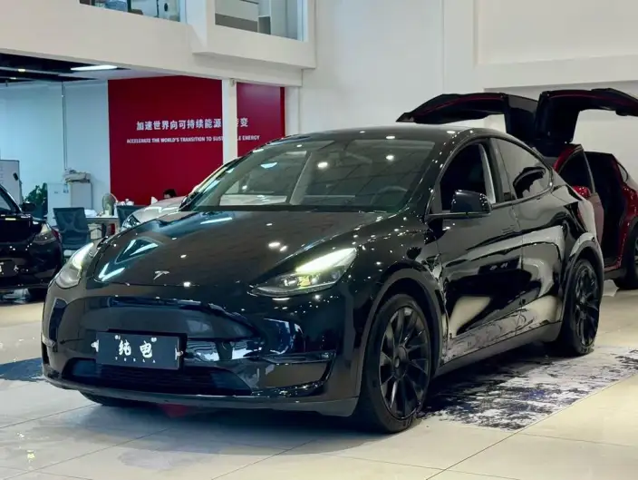 Model Y 2021 Model Standard Battery Life Rear-wheel drive version