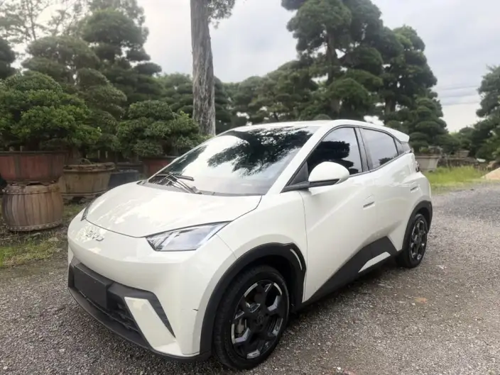 BYD Seagull 2024 Model Honor Edition 305KM Free Edition