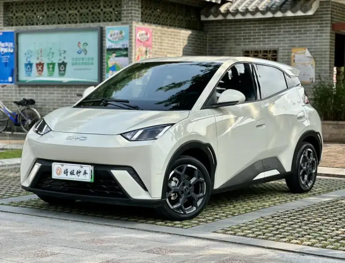 BYD Seagull 2024 Model Honor Edition 305KM Free Edition