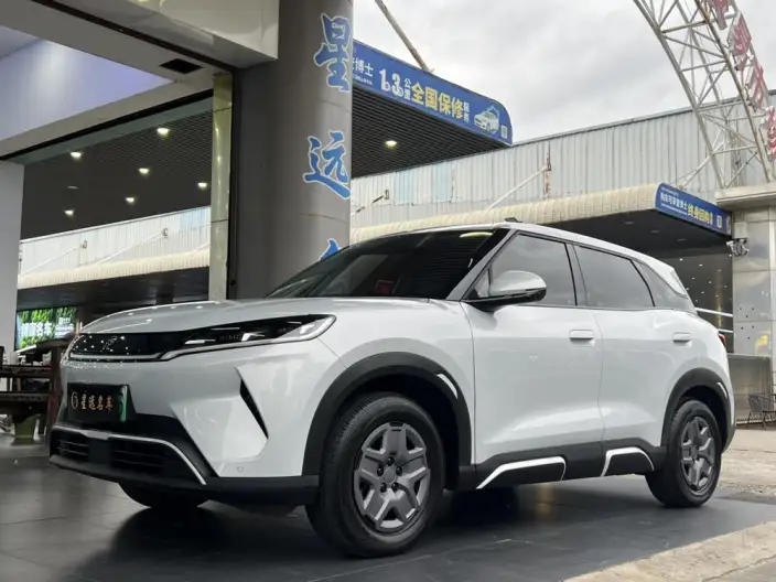 Yuan UP 2025 Model 301KM Pilot Model